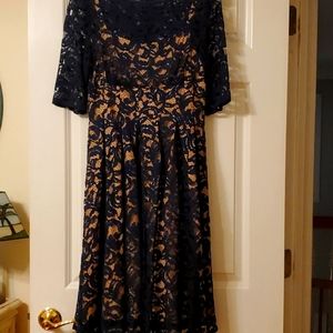 COPY - Little dark navy blue lace dress over nude lining. Stunning!